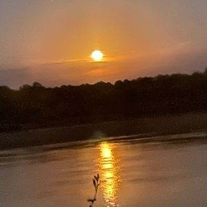 Meet your Posher, Clint